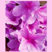 ヒメ日記 2025/04/27 02:58 投稿 立花 熟女デリヘル倶楽部