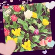 ヒメ日記 2025/05/06 02:04 投稿 立花 熟女デリヘル倶楽部