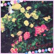 ヒメ日記 2025/05/11 03:17 投稿 立花 熟女デリヘル倶楽部