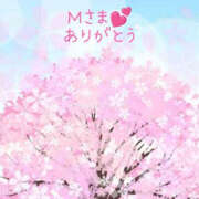 ヒメ日記 2025/04/01 13:21 投稿 藤原ゆり YESグループ水戸　華女