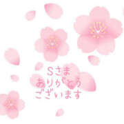 ヒメ日記 2025/04/02 19:57 投稿 藤原ゆり YESグループ水戸　華女