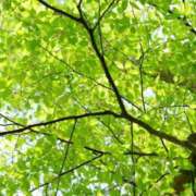 ヒメ日記 2025/04/27 21:45 投稿 藤原ゆり YESグループ水戸　華女