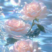 ヒメ日記 2025/06/03 22:49 投稿 藤原ゆり YESグループ水戸　華女