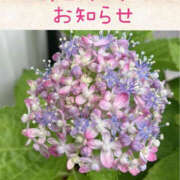 ヒメ日記 2025/06/15 05:21 投稿 藤原ゆり YESグループ水戸　華女