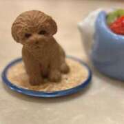 ヒメ日記 2025/03/20 22:09 投稿 えみ 尼妻（あまづま）