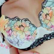 ヒメ日記 2025/04/13 06:28 投稿 サラ ドMな奥様 大阪本店