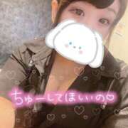 ヒメ日記 2025/01/14 07:32 投稿 なさ 香川サンキュー