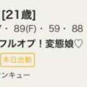 ヒメ日記 2025/11/11 08:42 投稿 なさ 香川サンキュー