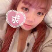 ヒメ日記 2025/11/14 16:56 投稿 なさ 香川サンキュー