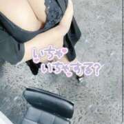 ヒメ日記 2025/12/03 11:21 投稿 なさ 香川サンキュー