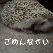 ヒメ日記 2025/01/15 14:55 投稿 るき ソープランド AQUA（アクア）