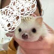 ヒメ日記 2025/01/16 09:44 投稿 るき ソープランド AQUA（アクア）