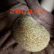 ヒメ日記 2025/02/13 16:08 投稿 るき ソープランド AQUA（アクア）