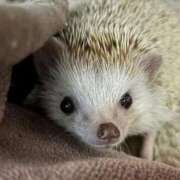 ヒメ日記 2025/09/26 09:18 投稿 るき ソープランド AQUA（アクア）