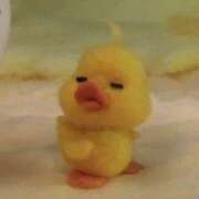 ヒメ日記 2025/12/21 12:21 投稿 るき ソープランド AQUA（アクア）