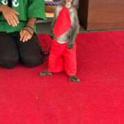 ヒメ日記 2026/02/07 22:08 投稿 るき ソープランド AQUA（アクア）