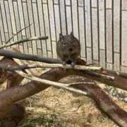 るき でかねずみ ソープランド AQUA（アクア）