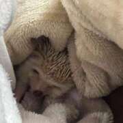 ヒメ日記 2026/02/24 13:48 投稿 るき ソープランド AQUA（アクア）