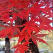 さやか 本日のあいことば 梅田アバンチュール