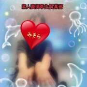 ヒメ日記 2025/09/24 09:09 投稿 みそら 素人妻御奉仕倶楽部Hip's松戸店