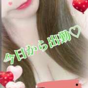 ヒメ日記 2024/12/19 16:45 投稿 れみ 丸妻 横浜本店