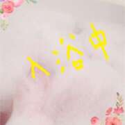 ヒメ日記 2024/12/25 00:12 投稿 れみ 丸妻 横浜本店