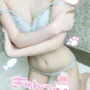 ヒメ日記 2025/07/09 05:05 投稿 ゆりの BIKINISPA「真」-ビキニスパ-