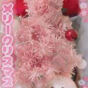 ヒメ日記 2024/12/25 16:57 投稿 白石　ひまり 雫(しずく)