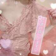 ヒメ日記 2025/02/09 16:49 投稿 白石　ひまり 雫(しずく)