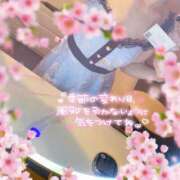 ヒメ日記 2025/03/24 17:48 投稿 白石　ひまり 雫(しずく)