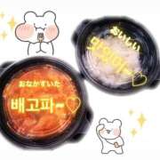 ヒメ日記 2025/04/03 13:48 投稿 白石　ひまり 雫(しずく)