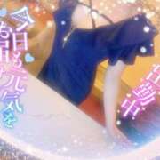 ヒメ日記 2025/04/03 17:20 投稿 白石　ひまり 雫(しずく)