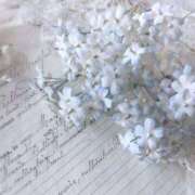 ヒメ日記 2025/06/21 08:03 投稿 白石　ひまり 雫(しずく)