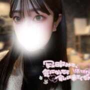 ヒメ日記 2025/01/12 15:06 投稿 有村きほ ウルトラブレイズ