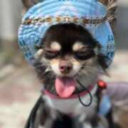 ヒメ日記 2026/03/19 15:29 投稿 らん ちゃんこ摂津・茨木店