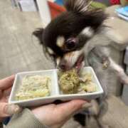 ヒメ日記 2026/03/29 16:11 投稿 らん ちゃんこ摂津・茨木店