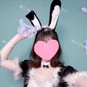 ヒメ日記 2024/12/10 07:20 投稿 あじさい チューリップ姫路店