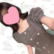 ヒメ日記 2024/12/11 07:20 投稿 あじさい チューリップ姫路店