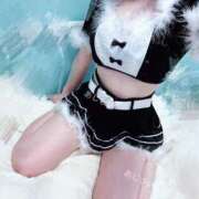 ヒメ日記 2024/12/17 05:00 投稿 あじさい チューリップ姫路店