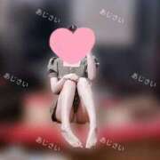 ヒメ日記 2025/02/04 06:20 投稿 あじさい チューリップ姫路店