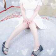 ヒメ日記 2025/02/08 06:10 投稿 あじさい チューリップ姫路店