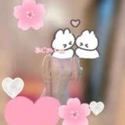 ヒメ日記 2025/04/03 07:30 投稿 あじさい チューリップ姫路店