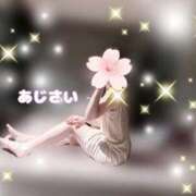 ヒメ日記 2025/04/24 08:40 投稿 あじさい チューリップ姫路店