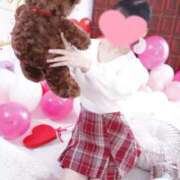 ヒメ日記 2025/05/01 06:20 投稿 あじさい チューリップ姫路店