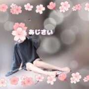 ヒメ日記 2025/05/01 09:20 投稿 あじさい チューリップ姫路店