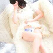 ヒメ日記 2025/05/04 20:25 投稿 あじさい チューリップ姫路店