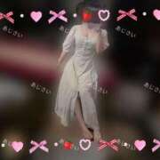 ヒメ日記 2025/05/05 08:50 投稿 あじさい チューリップ姫路店