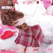 ヒメ日記 2025/05/06 08:20 投稿 あじさい チューリップ姫路店