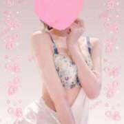 ヒメ日記 2025/05/17 07:50 投稿 あじさい チューリップ姫路店