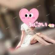 ヒメ日記 2025/05/17 08:50 投稿 あじさい チューリップ姫路店